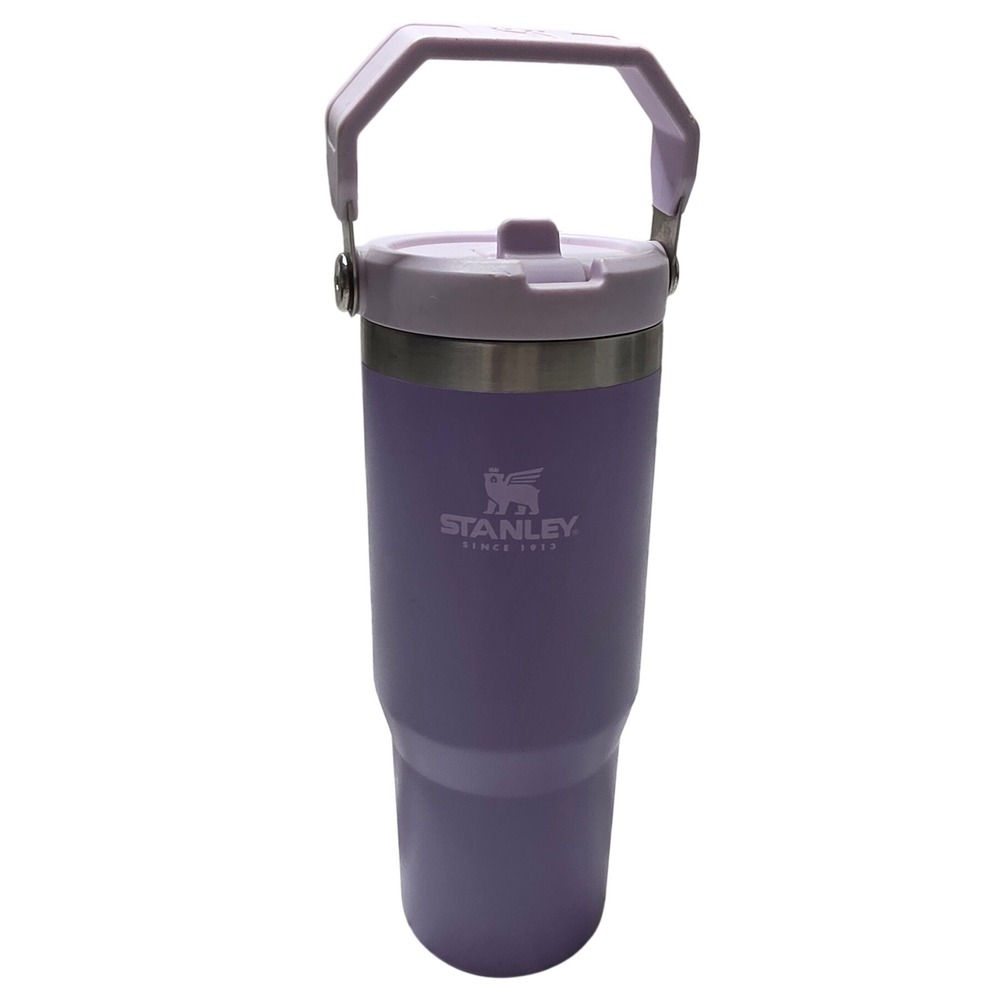 Stanley IceFlow Flip Straw Tumbler 30oz Purple Stainless Steel Water Bottle